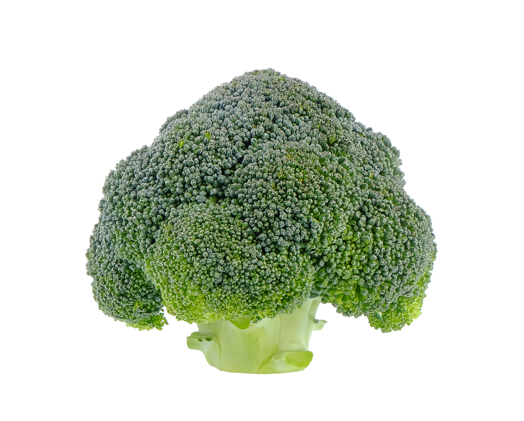 Is Broccoli Lectin-Free? YES