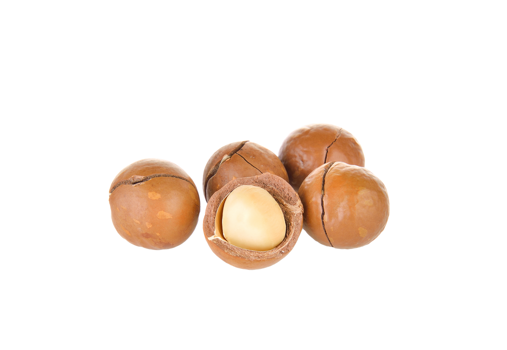 Is Macadamia nut LectinFree? YES