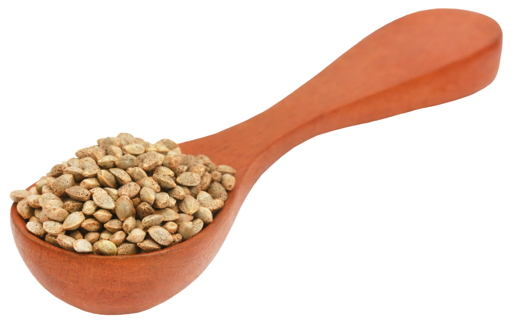 Is Hemp seed LectinFree? YES