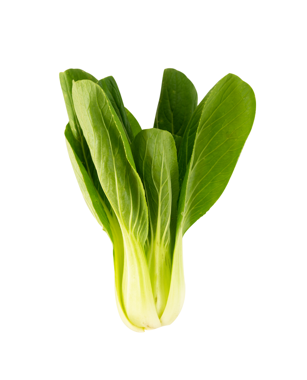 Is Mustard green LectinFree? YES