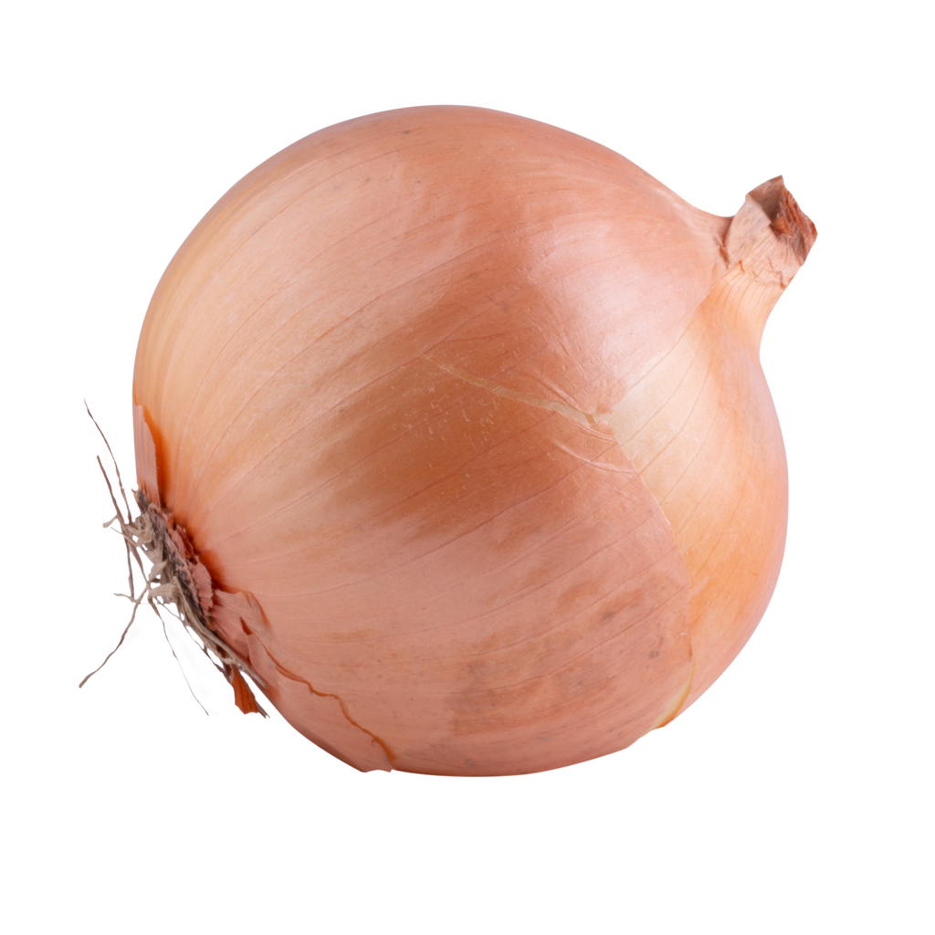 Is White onion LectinFree? YES