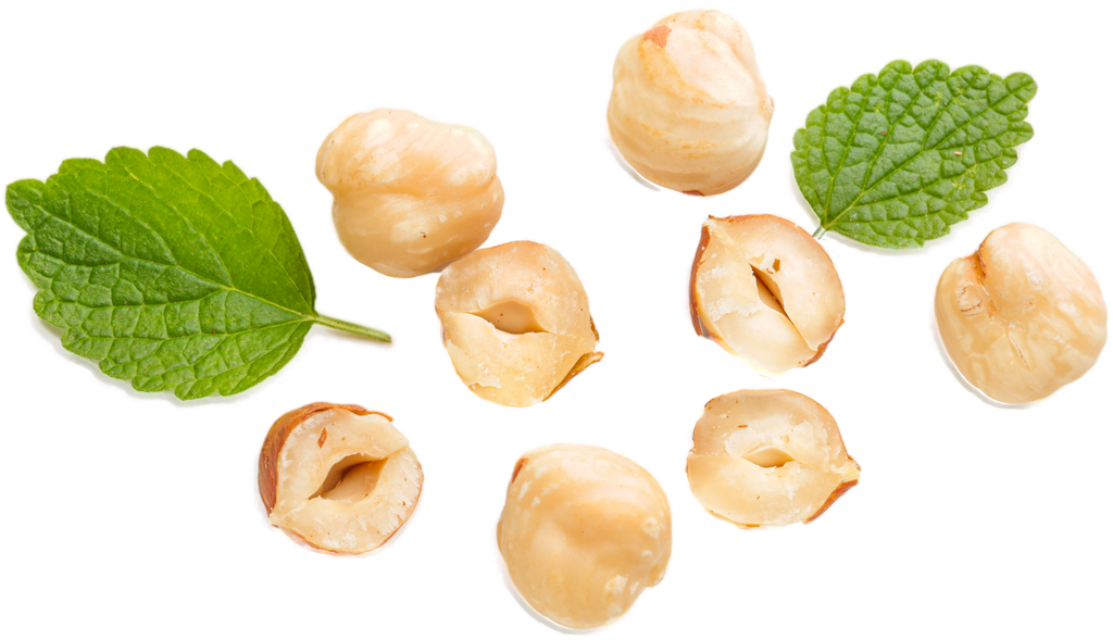 Is Hazelnut LectinFree? YES