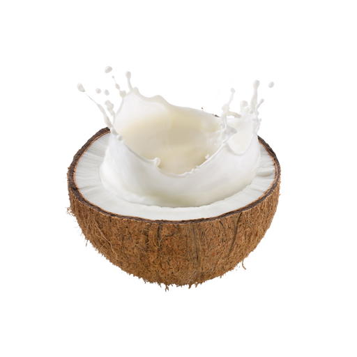 Is Coconut milk LectinFree? YES