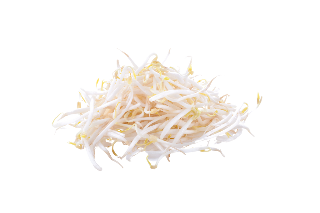 Is Adzuki bean sprouts LectinFree? NO
