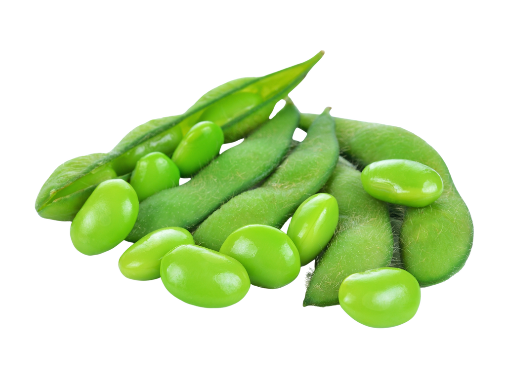 Is Green bean LectinFree? NO