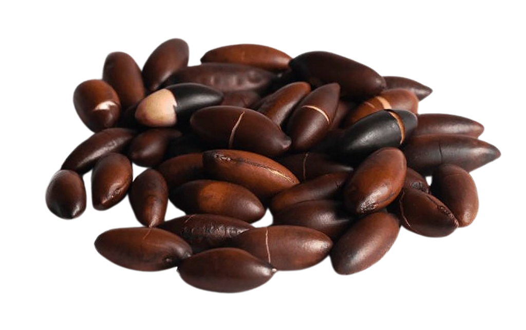 Is Barúkas nut LectinFree? YES