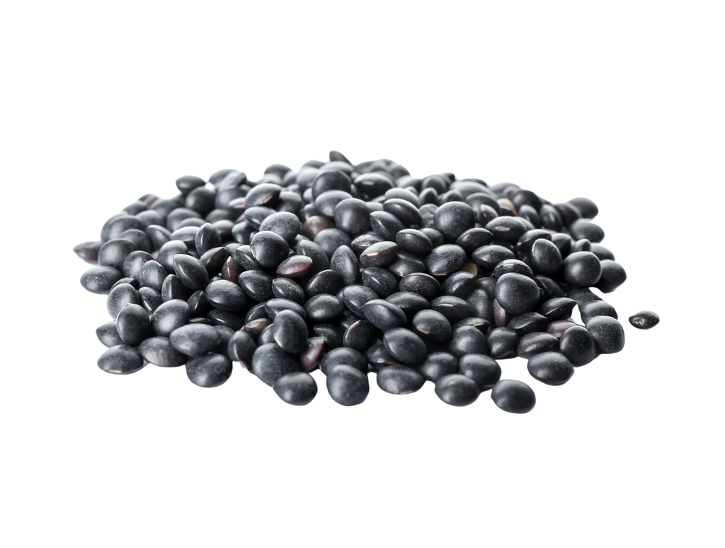 Is Black bean LectinFree? NO