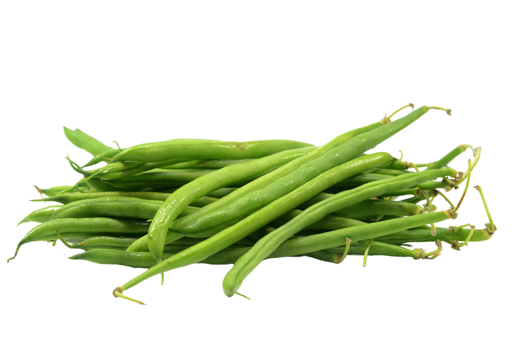 Is French bean LectinFree? NO