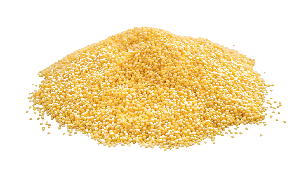 Is Millet LectinFree? YES