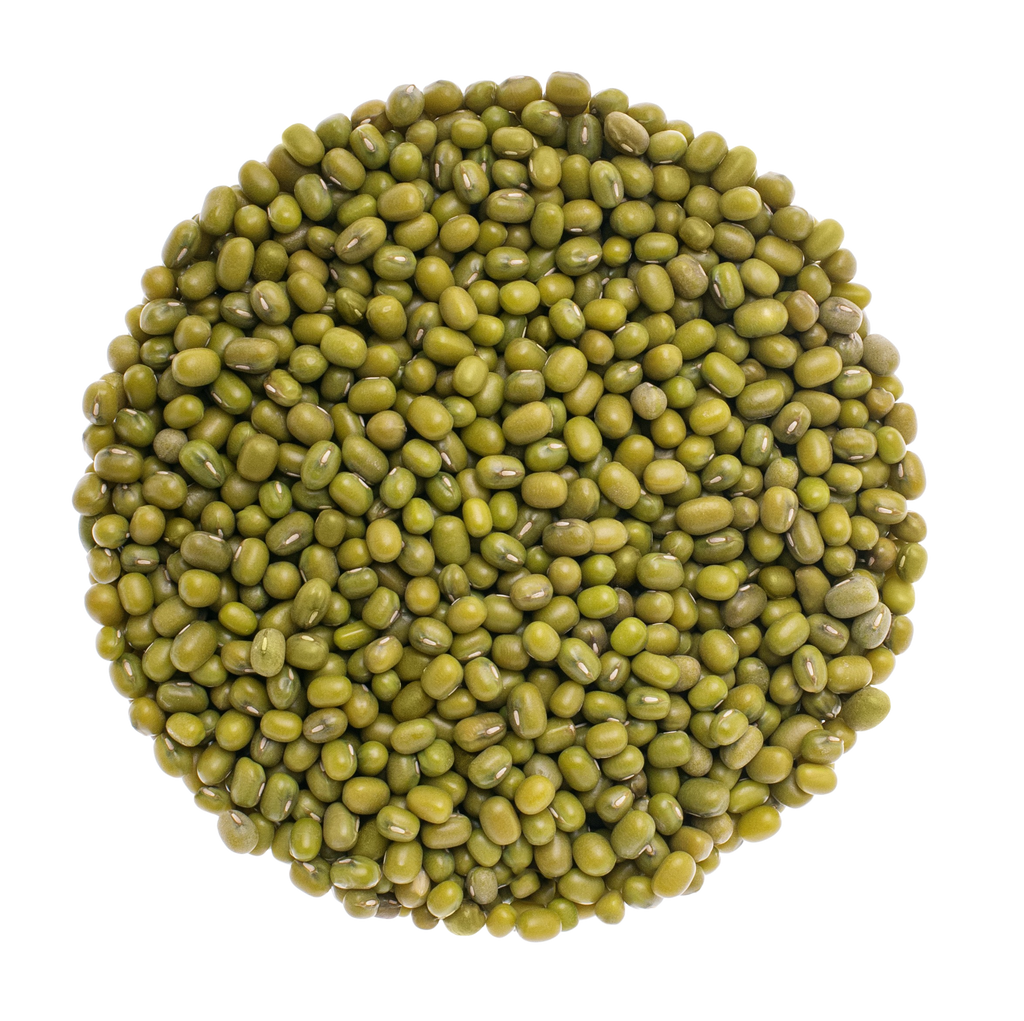 Is Mung bean LectinFree? NO