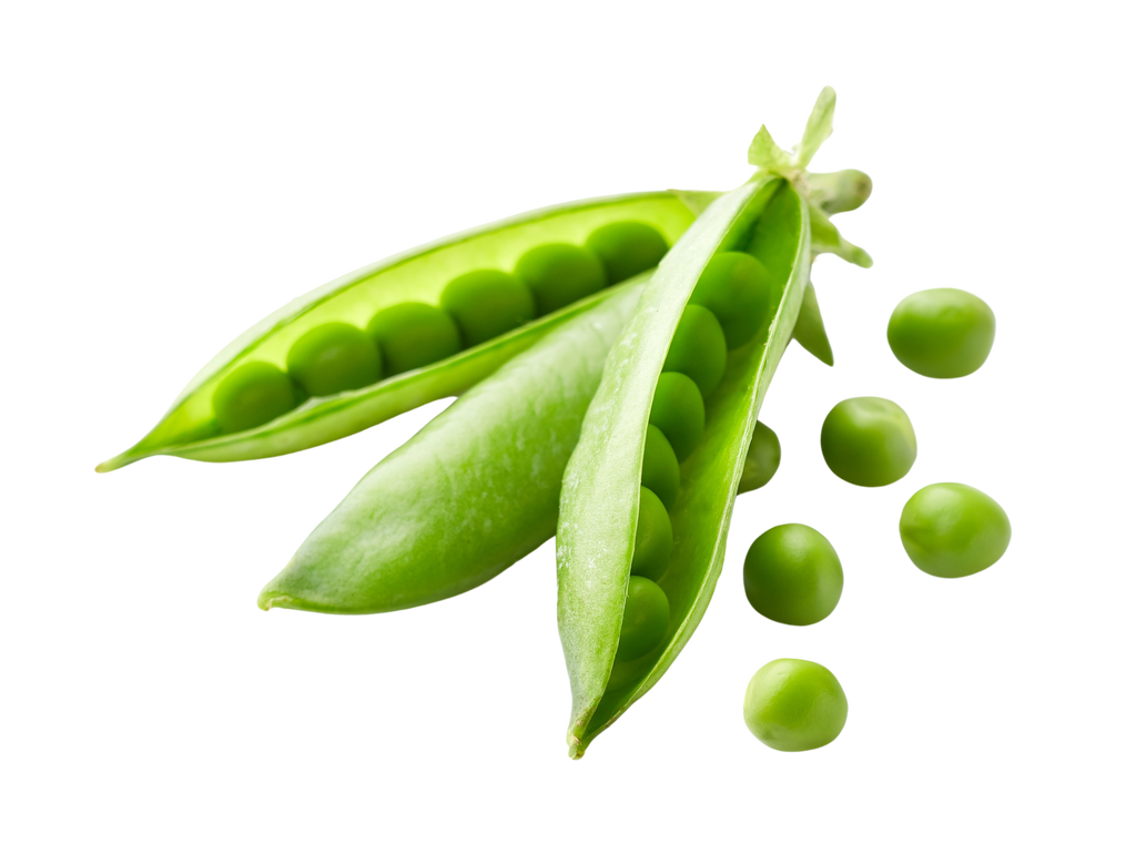 Is Pea LectinFree? NO