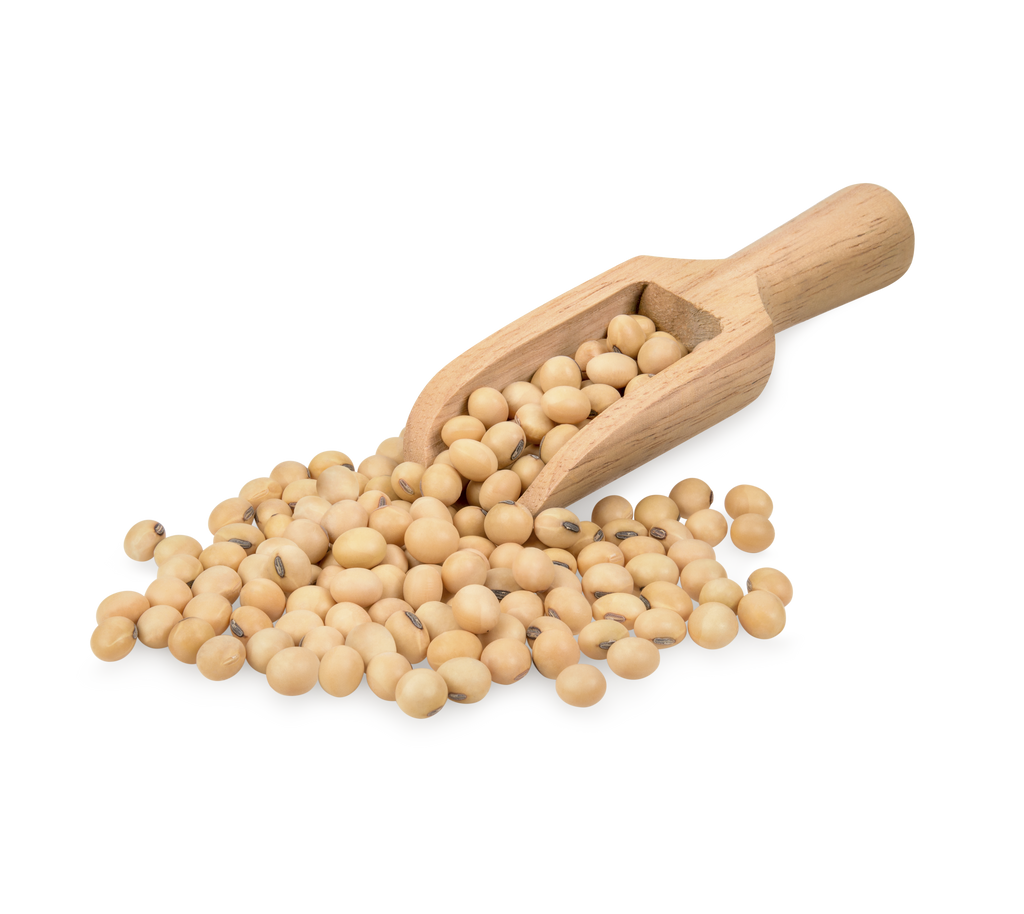 Is Soy LectinFree? NO