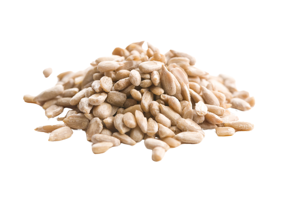 Is Sunflower seed LectinFree? NO