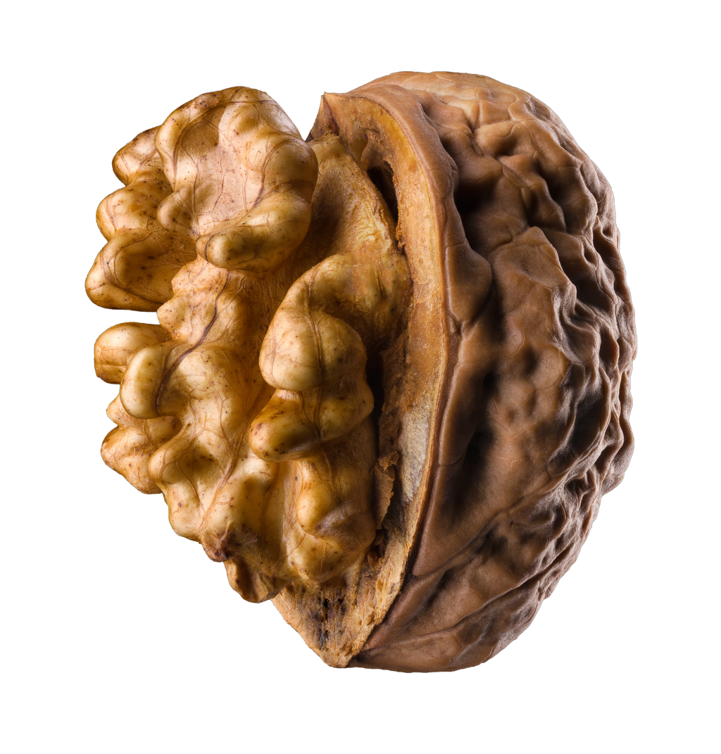 Is Walnut LectinFree? YES