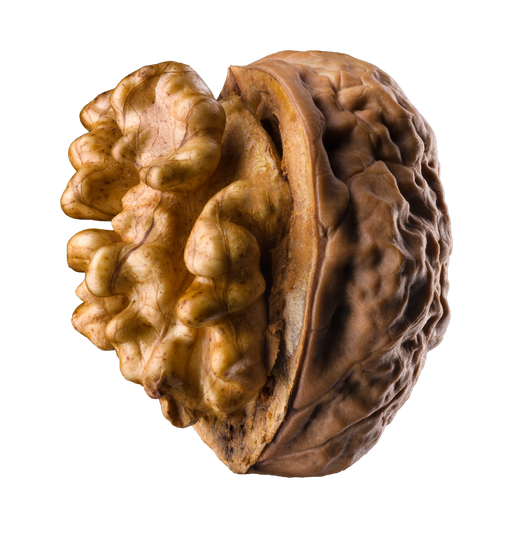 Is Walnut LectinFree? YES